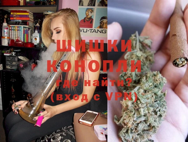 трава Медвежьегорск