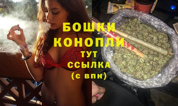 трава Медвежьегорск