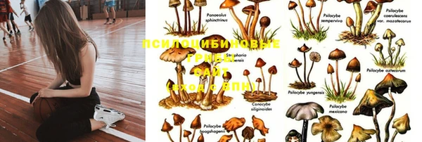 а пвп мука Медногорск