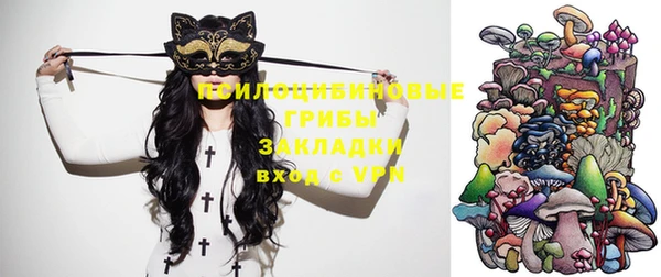а пвп мука Медногорск