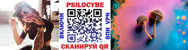 Галлюциногенные грибы Magic Shrooms  магазин    Шилка 