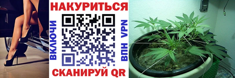 Конопля семена  Шилка 